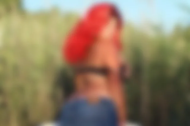 reysil image 2